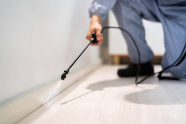 Licensed Termite Control service in East Point, GA - Nex Pest Control