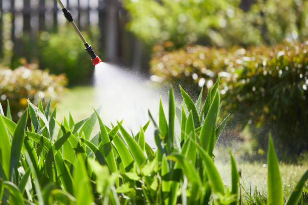 24/7 Emergency Termite Control experts in East Point, GA