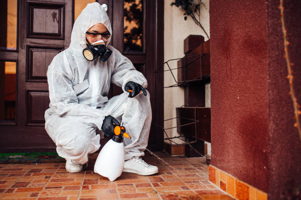 Reliable Termite Control contractor in East Point, GA by Nex Pest Control